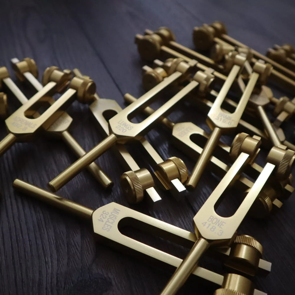 24pc Solfeggio Tuning Fork & Human Biology Set - Gold & Silver - Image 3