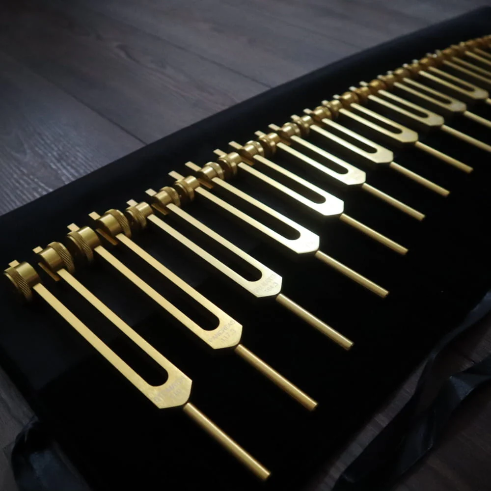 24pc Solfeggio Tuning Fork & Human Biology Set - Gold & Silver - Image 4