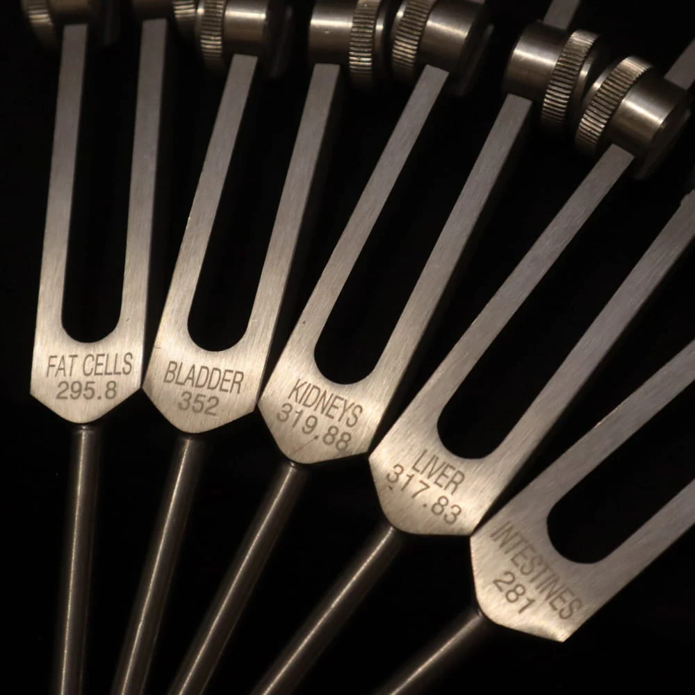 24pc Solfeggio Tuning Fork & Human Biology Set - Gold & Silver - Image 7