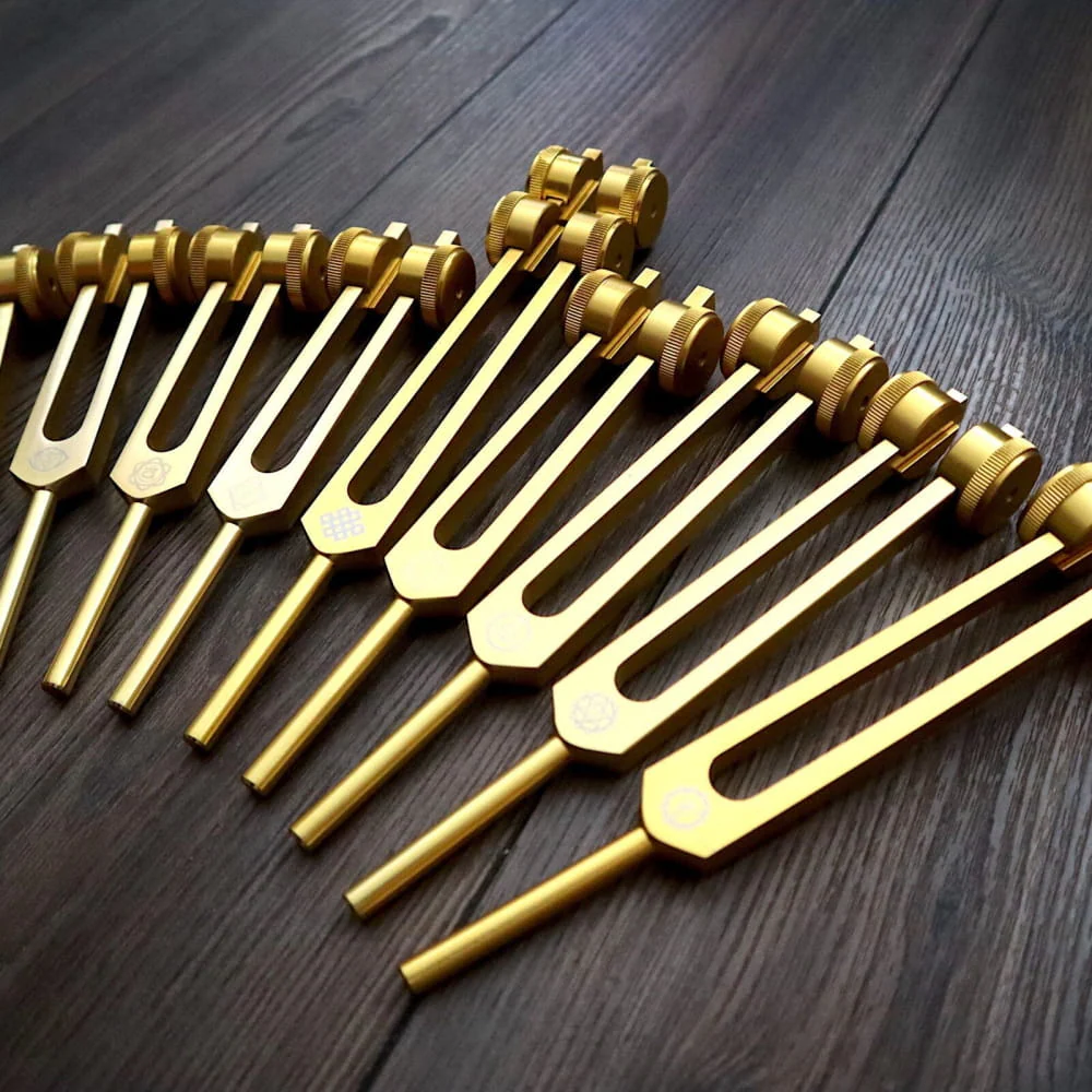 24pc Solfeggio Tuning Fork & Human Biology Set - Gold & Silver - Image 9