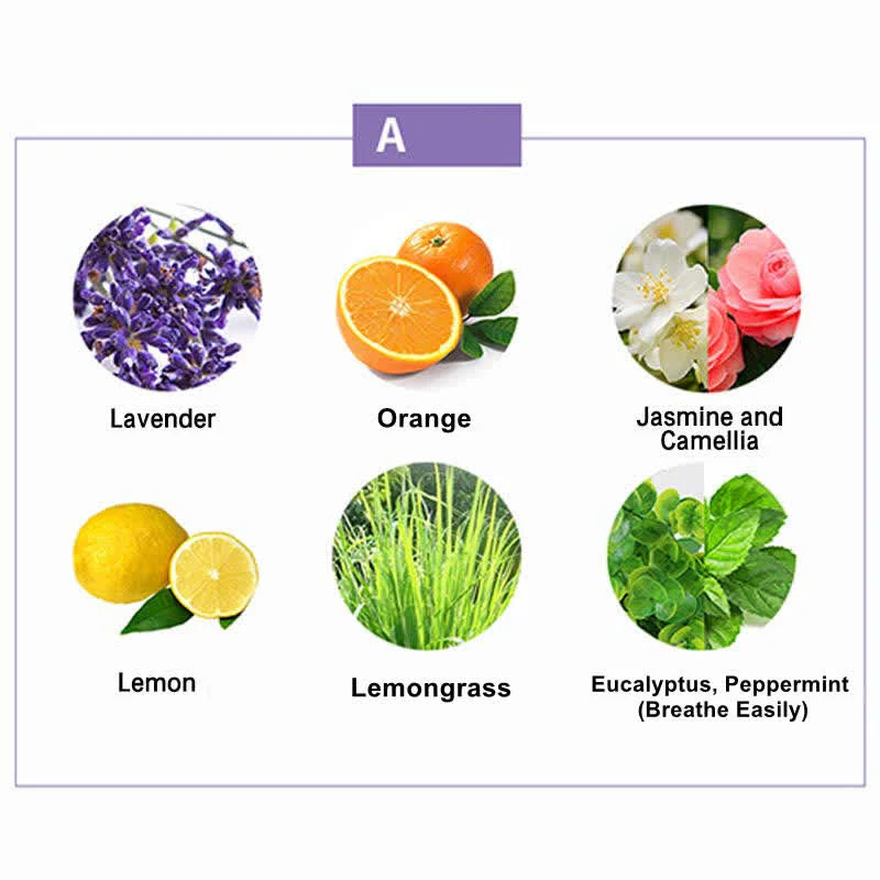 6pcs Aromatherapy Essential Oils Set for Healing | Healing Sounds - Image 3