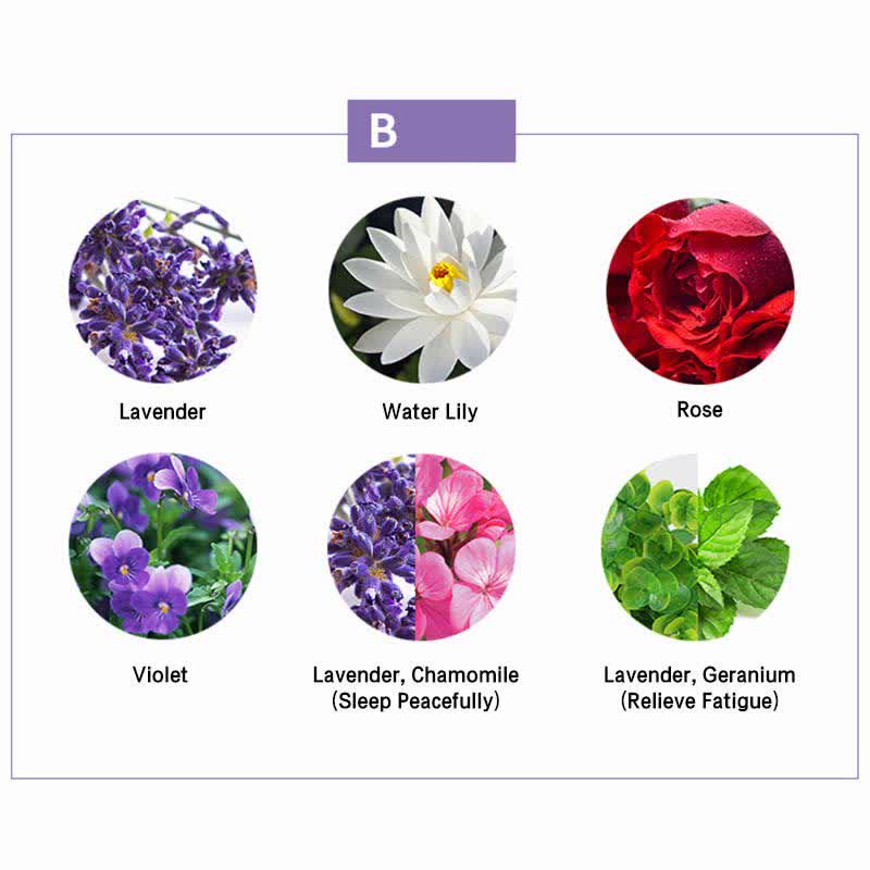 6pcs Aromatherapy Essential Oils Set for Healing | Healing Sounds - Image 5