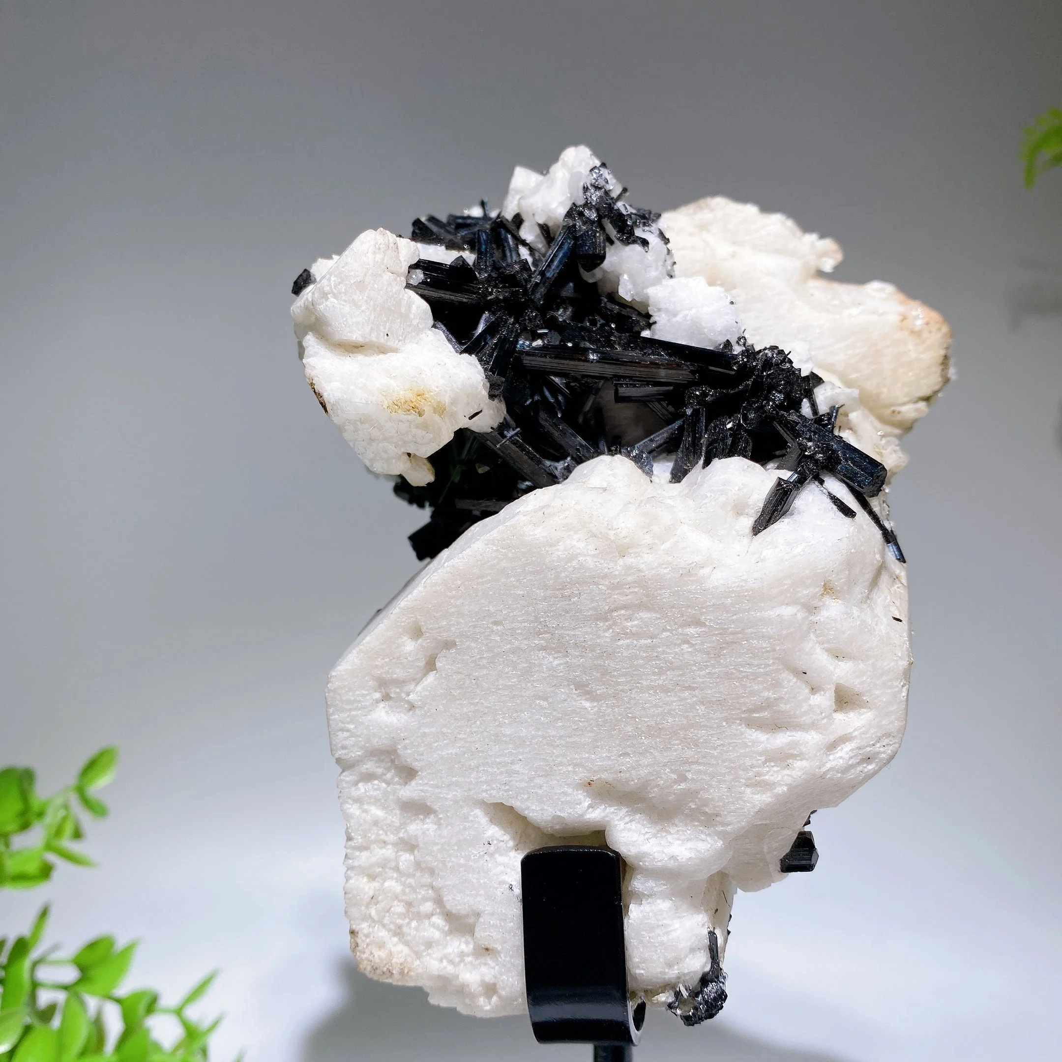 18cm Black Tourmaline In Feldspar Crystal Specimen Display - Image 2