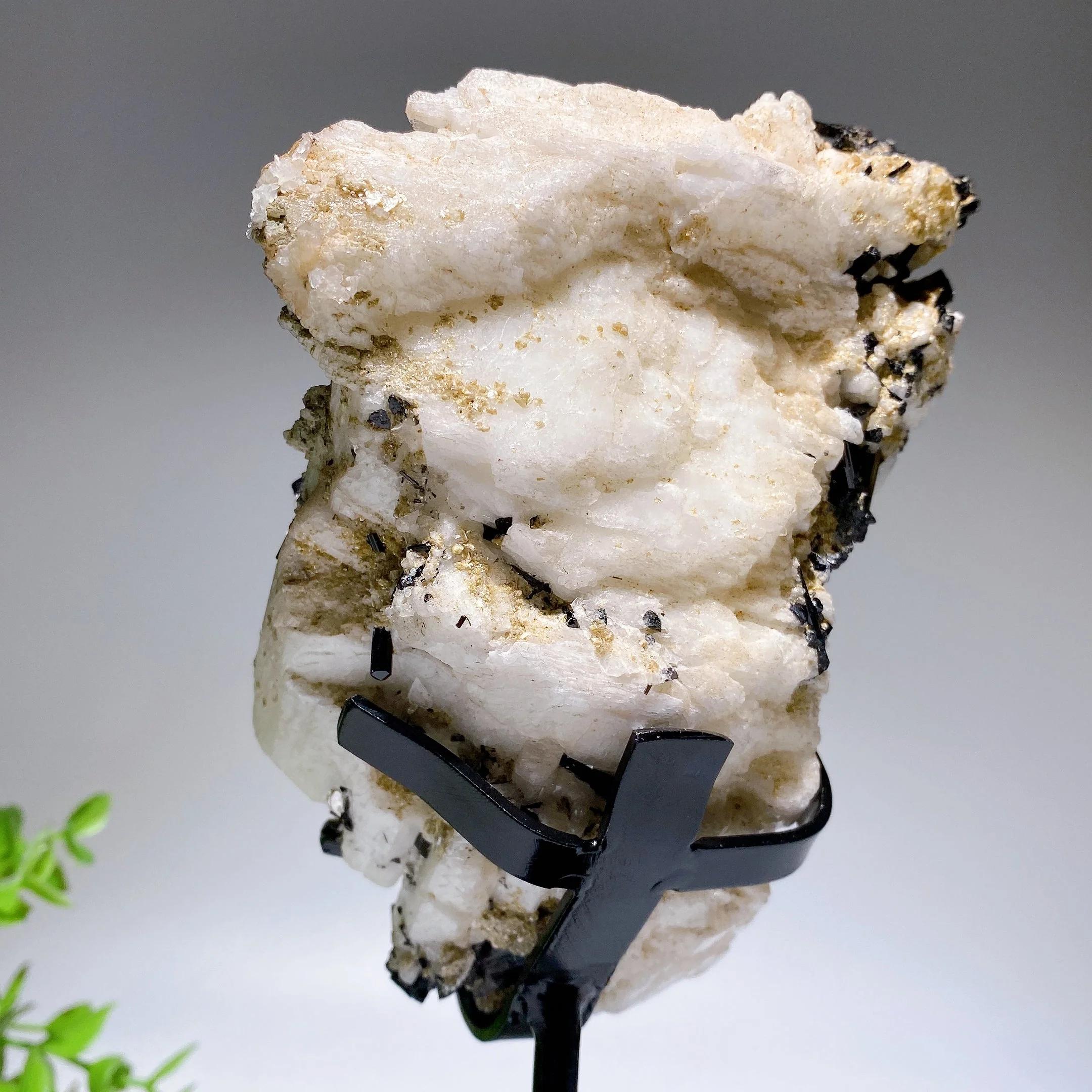 18cm Black Tourmaline In Feldspar Crystal Specimen Display - Image 4