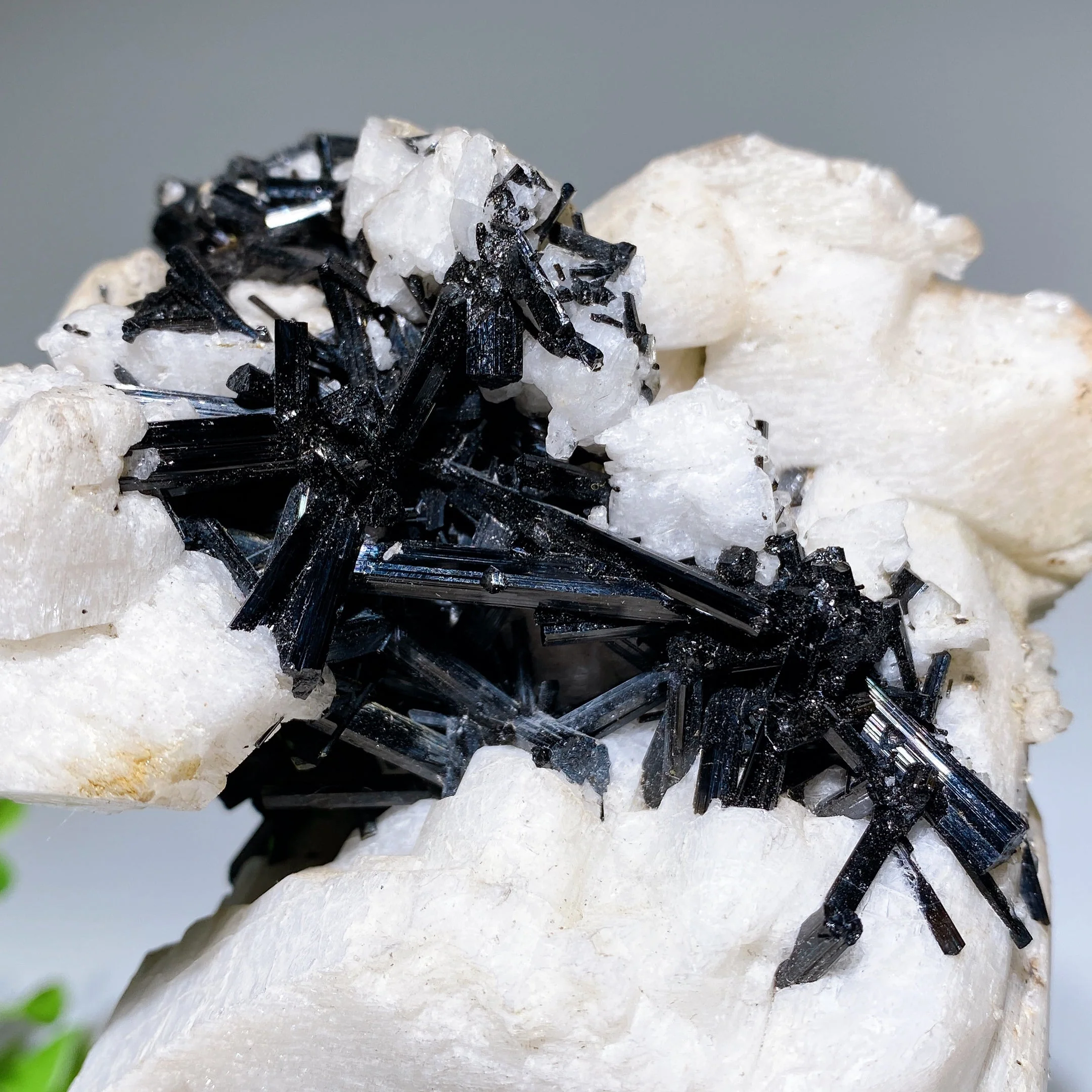 18cm Black Tourmaline In Feldspar Crystal Specimen Display - Image 5