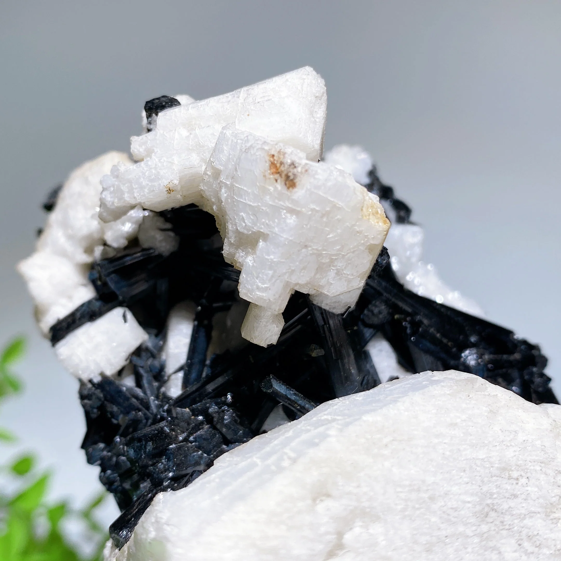 18cm Black Tourmaline In Feldspar Crystal Specimen Display - Image 6