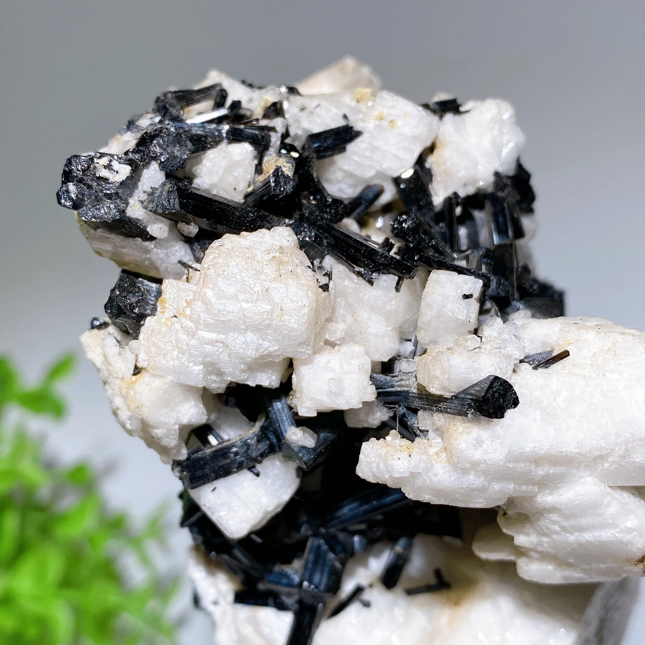 18cm Black Tourmaline In Feldspar Crystal Specimen Display - Image 7
