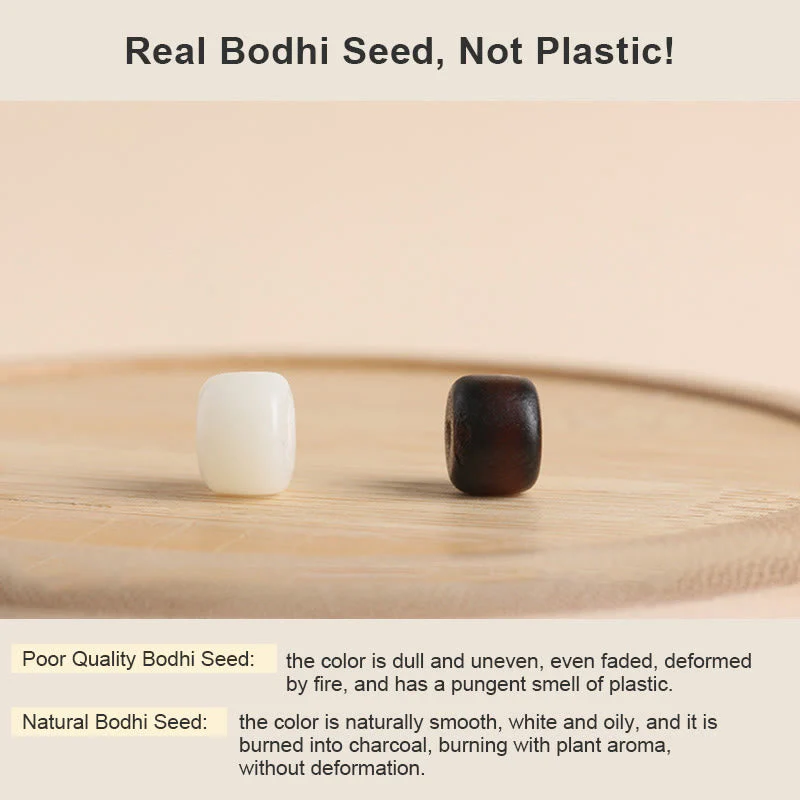 Bodhi Seed Cat Paw Lucky Cat Spiritual Bracelet - Image 7