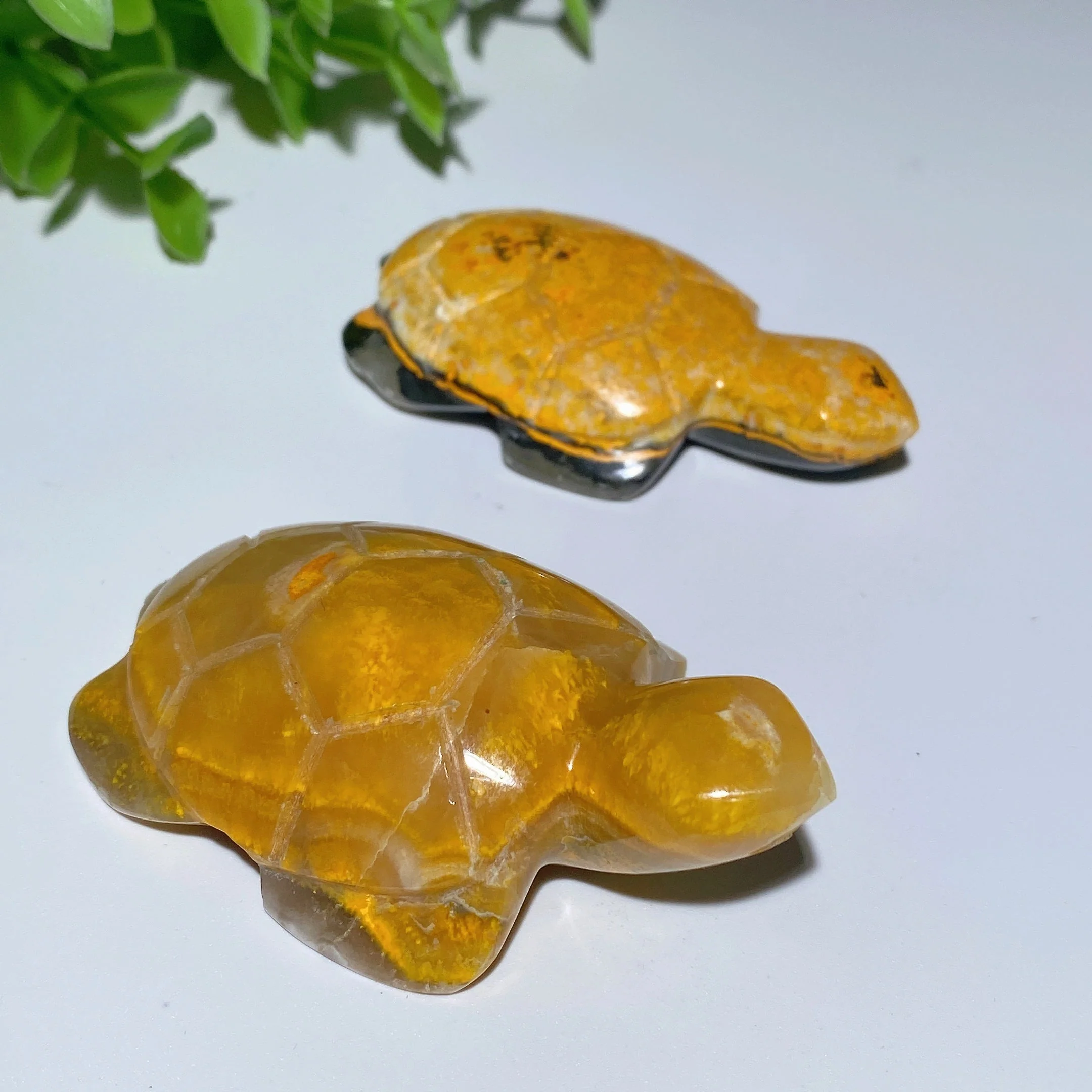 2.0-2.5 Inch Bumblebee Jasper Crystal Turtle Figurine for Healing - Image 3