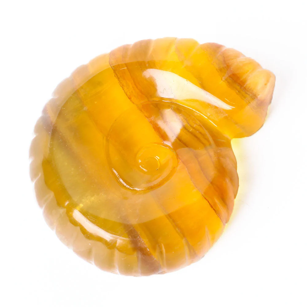 3.6" Unique Fluorite Snail Shell Crystal Carving Specimen - Image 2