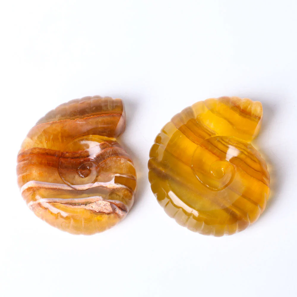 3.6" Unique Fluorite Snail Shell Crystal Carving Specimen - Image 3