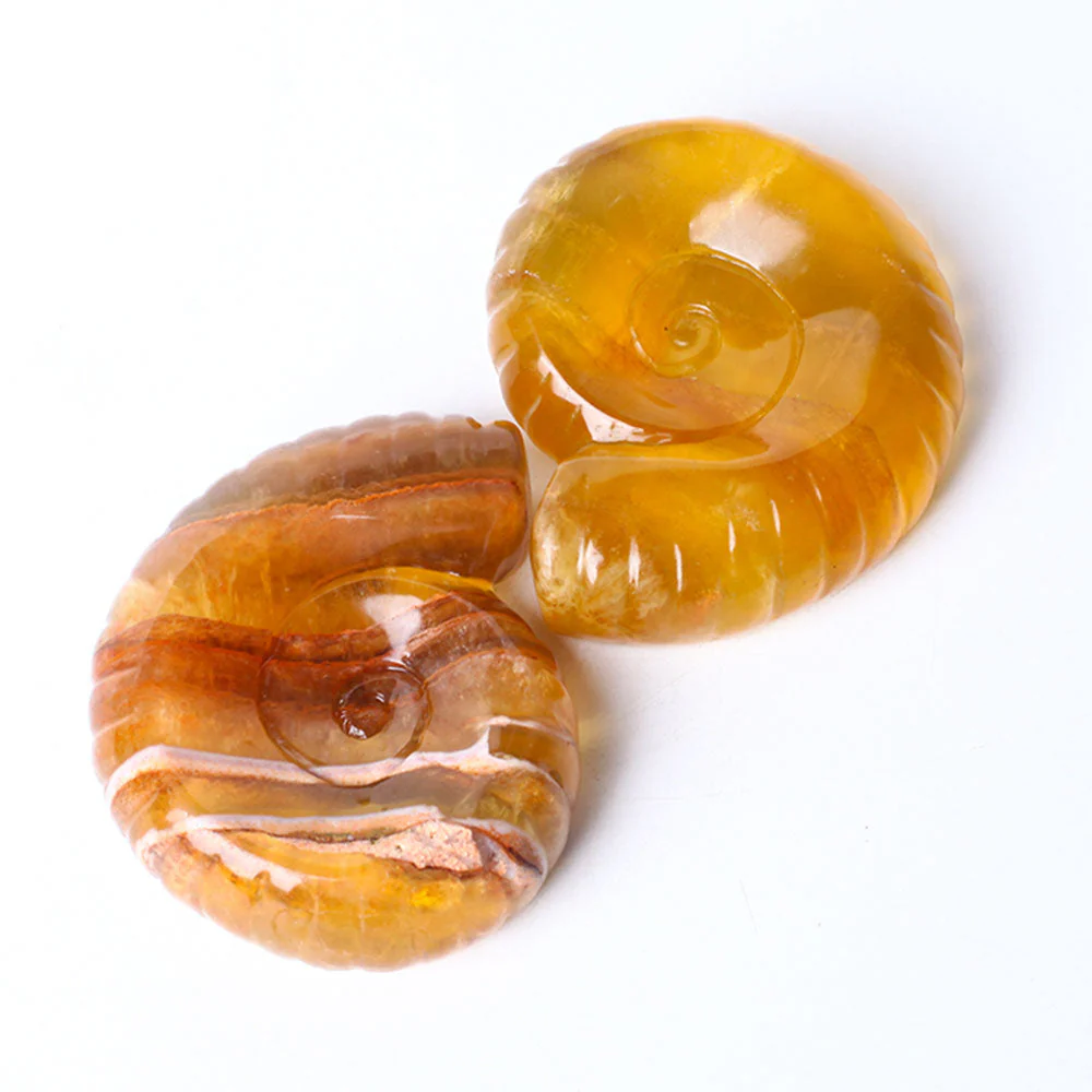 3.6" Unique Fluorite Snail Shell Crystal Carving Specimen - Image 4