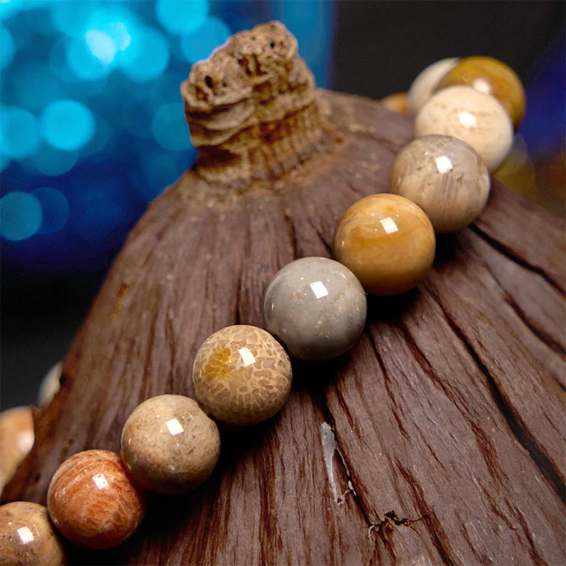 8-9mm Fossil Coral Compassion Bracelet for Self-Esteem & Strength - Image 4