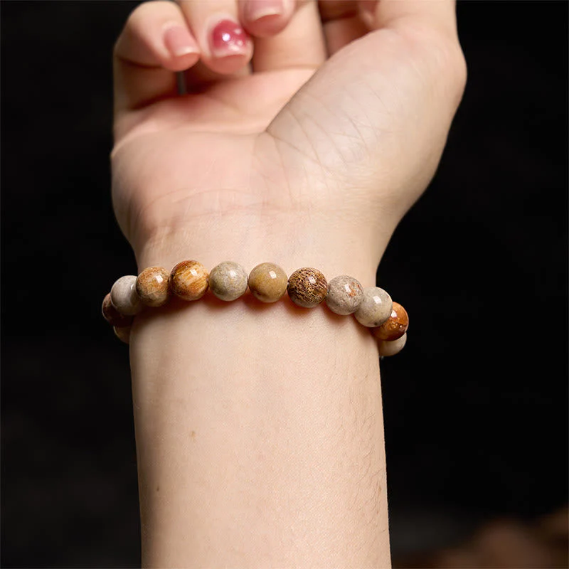 8-9mm Fossil Coral Compassion Bracelet for Self-Esteem & Strength - Image 6