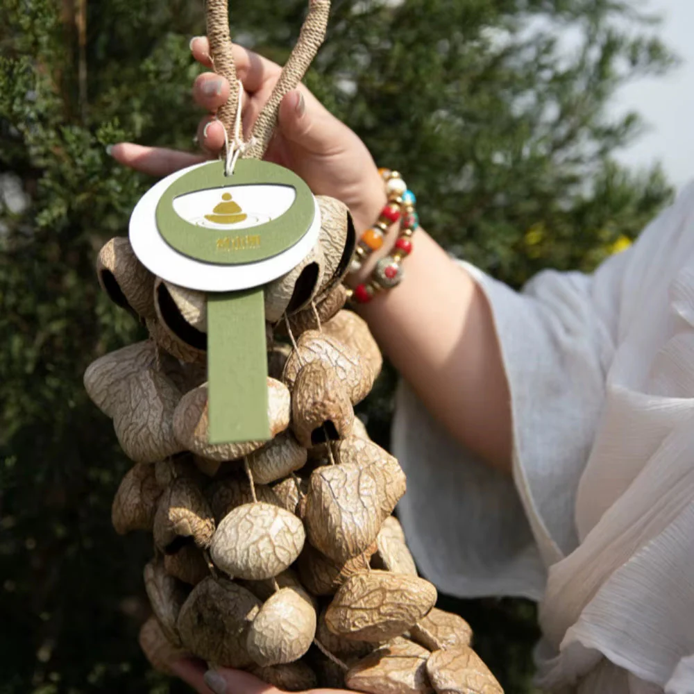 African Natural Fruit Shell Rattle Shaker - Image 4