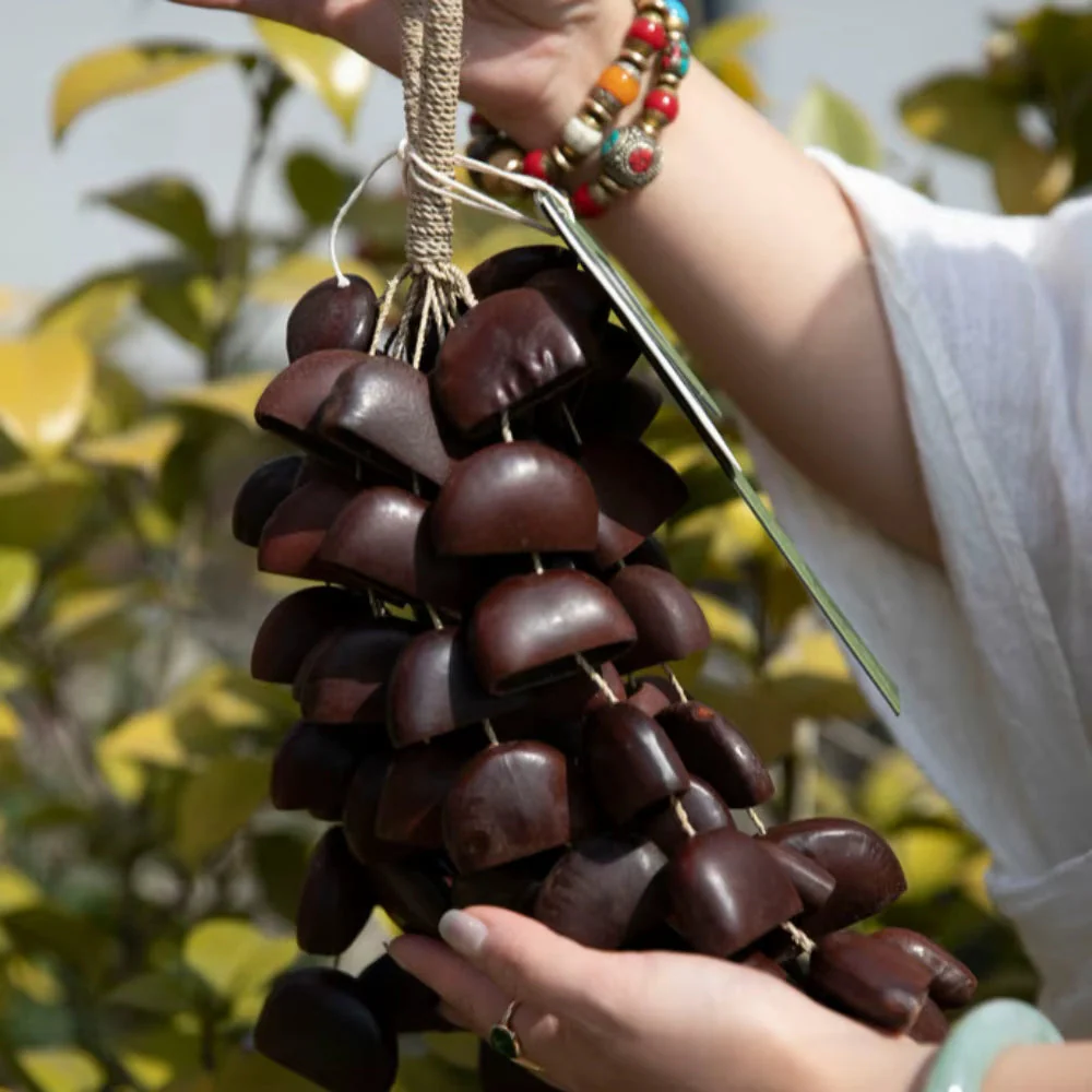 African Natural Fruit Shell Rattle Shaker - Image 5