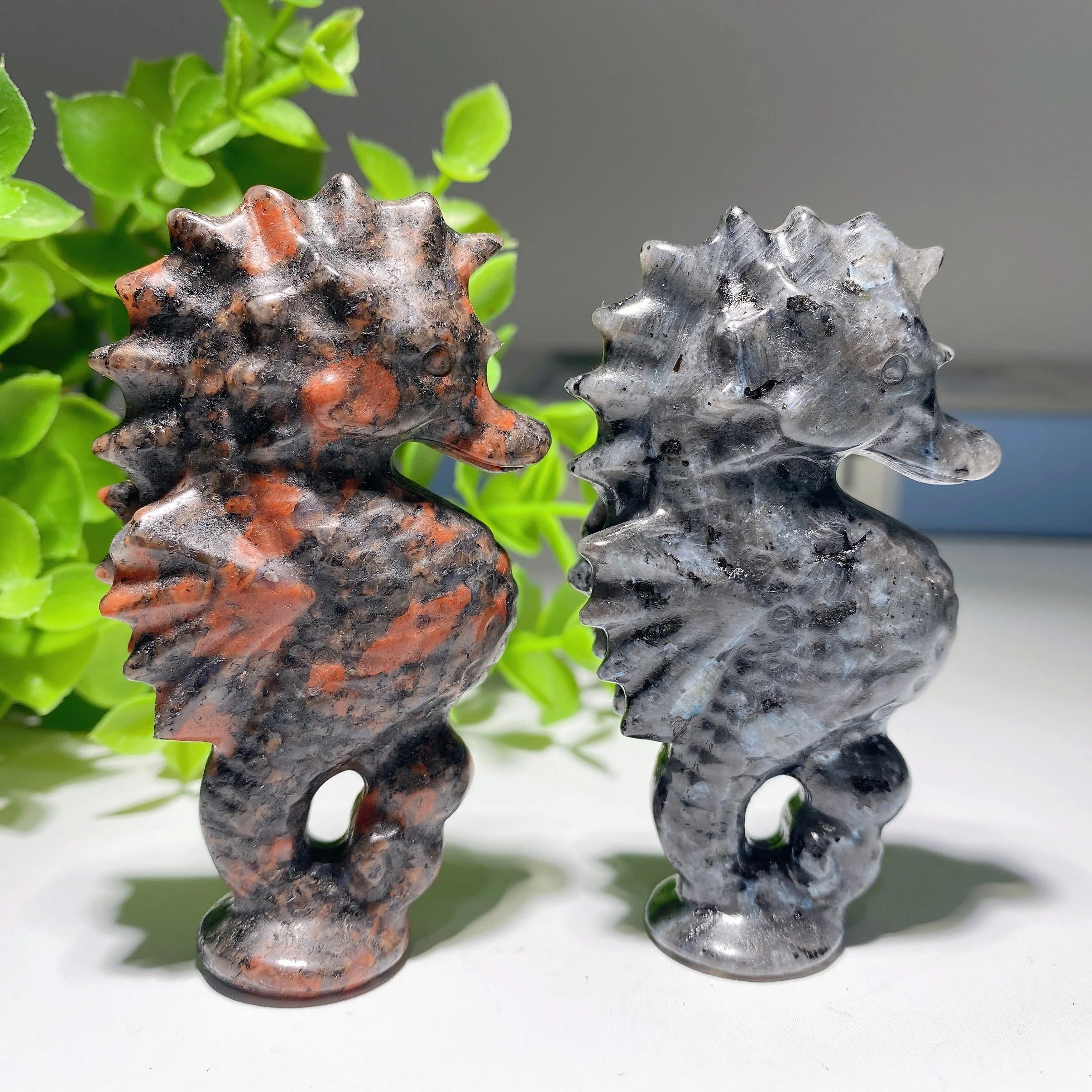 3.1 inch Larvikite Hippocampus Crystal Healing Carving - Image 2