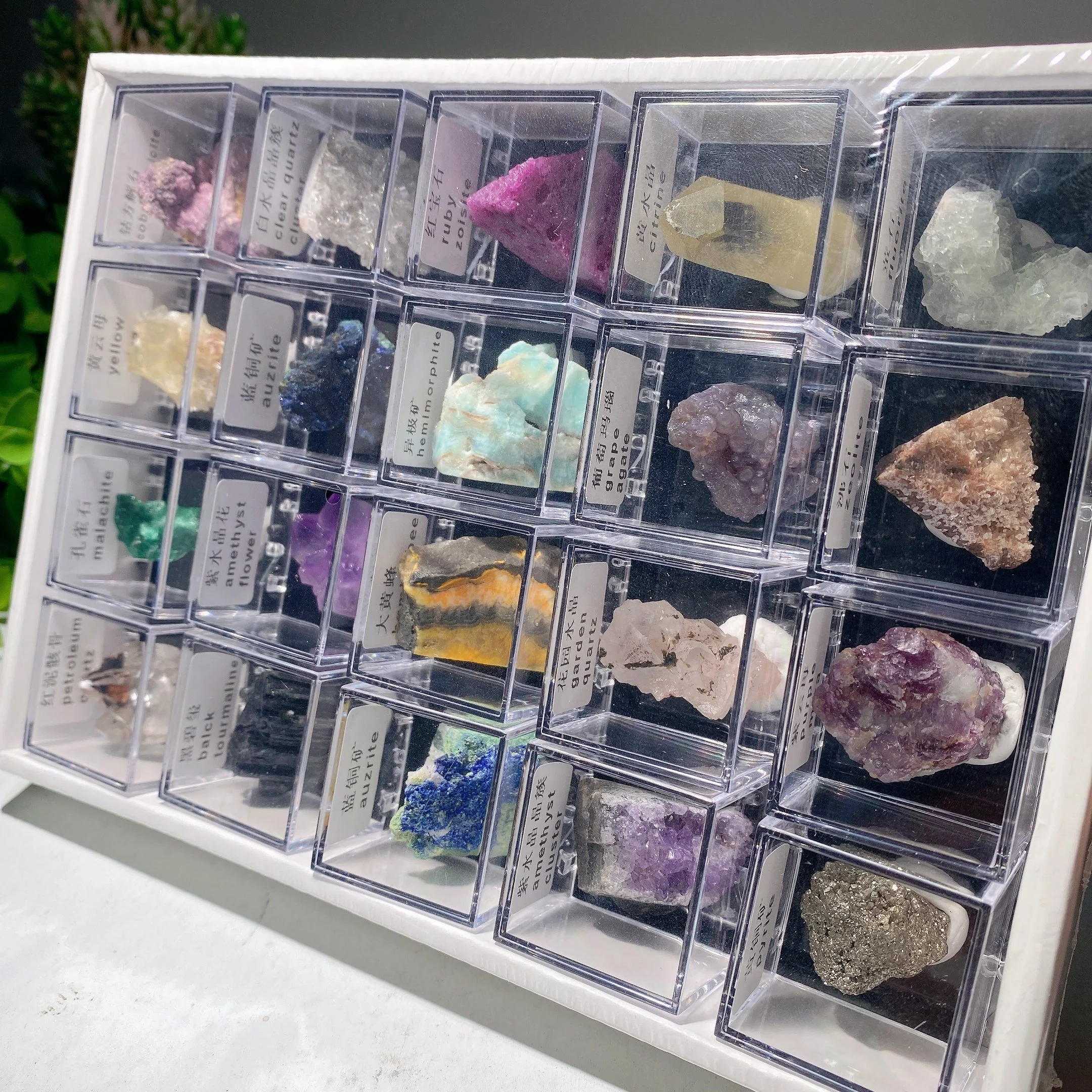 Mixed Crystal Specimen Display Box 530g Collection Set - Image 4