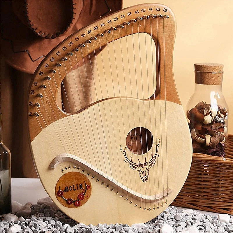 24 String Lyre Harp Instrument with Steel Strings - Image 3