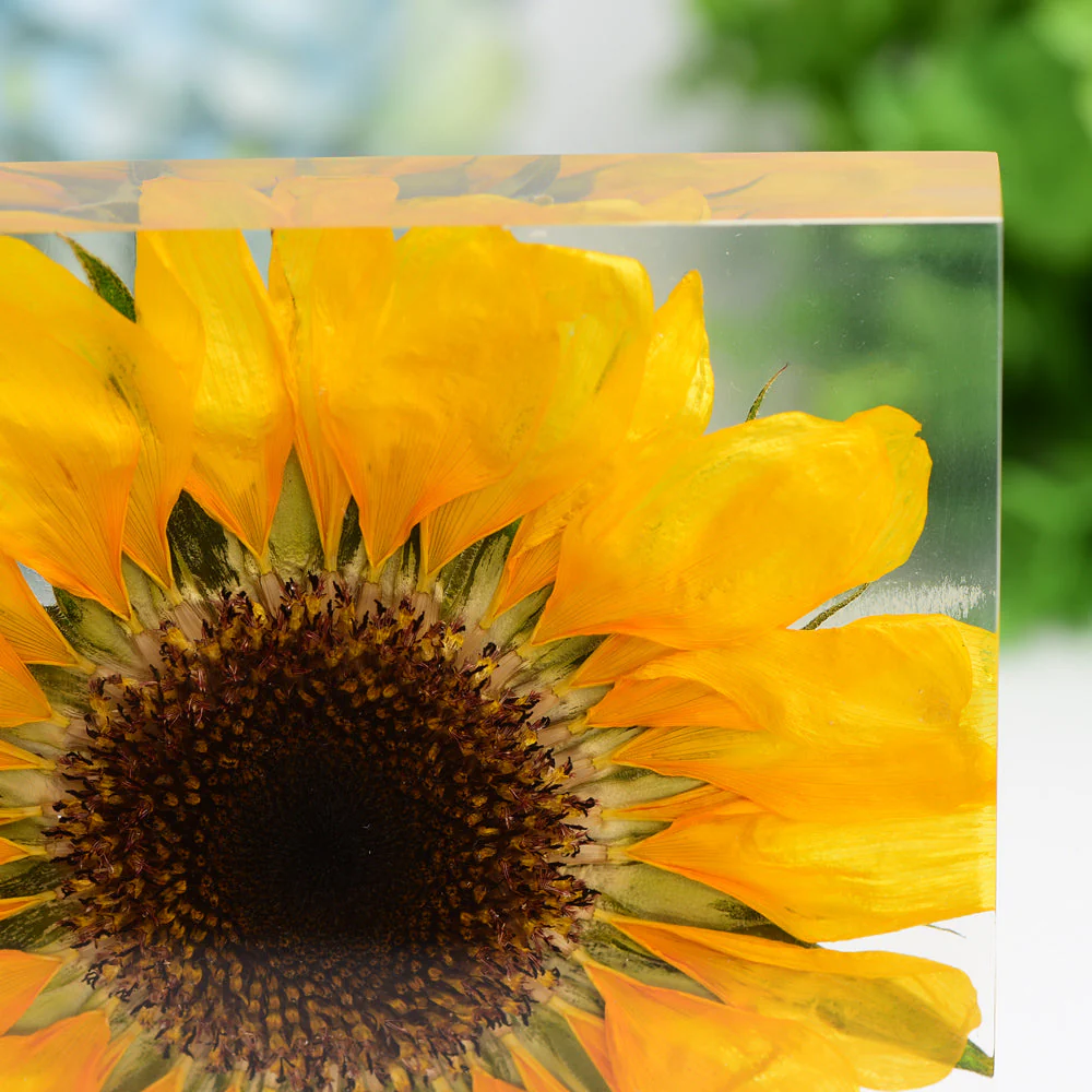 4.6-inch Resin Square with Sunflower - Spiritual Home Accent - Image 5