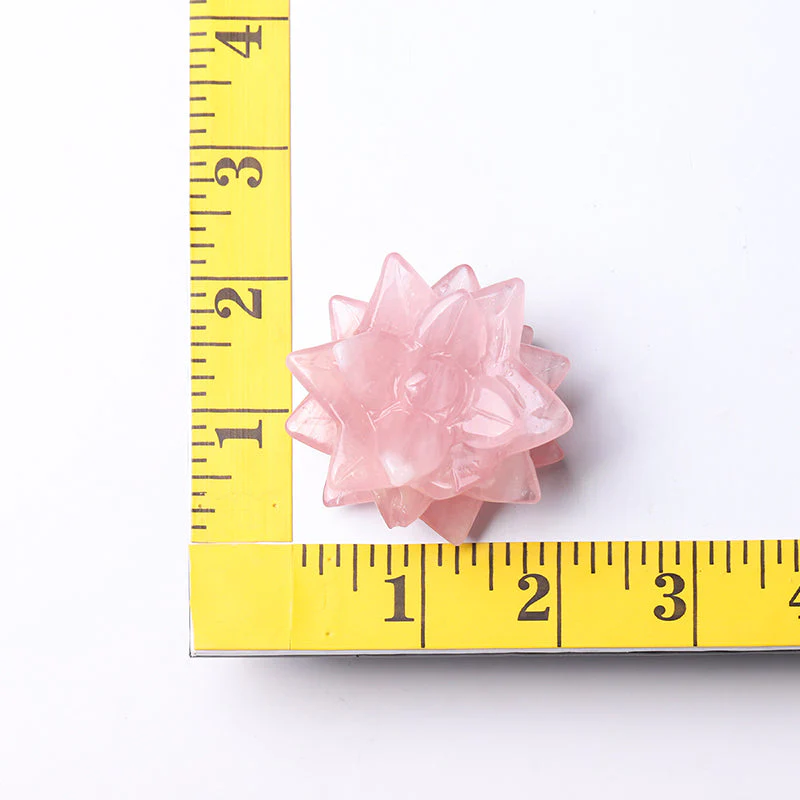2-inch Rose Quartz Succulent Crystal Figurine Carving - Image 7