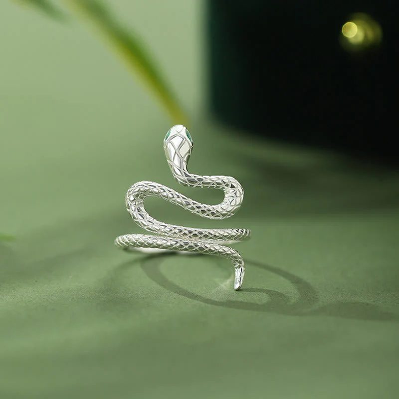 925 Sterling Silver Year of the Snake Jewelry Set for Calm & Balance - Image 5